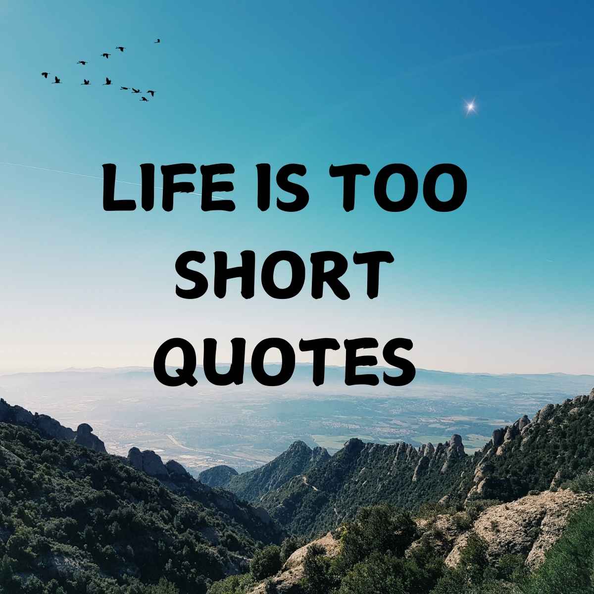 Life is Too Short Quotes