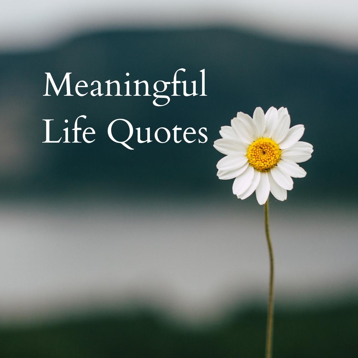 Meaningful Life Quotes