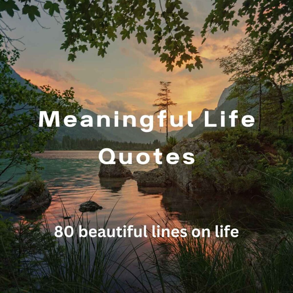 Meaningful Life Quotes