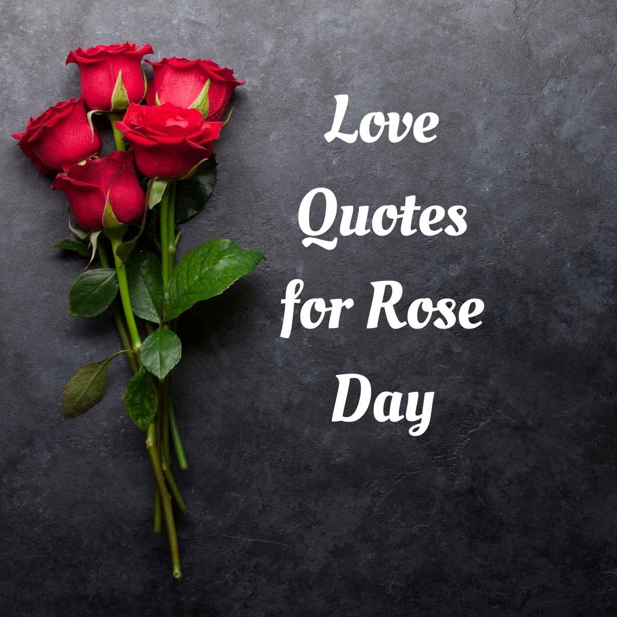 Love Quotes for Rose Day