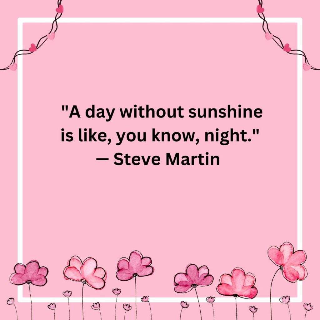 "A day without sunshine is like, you know, night." — Steve Martin  