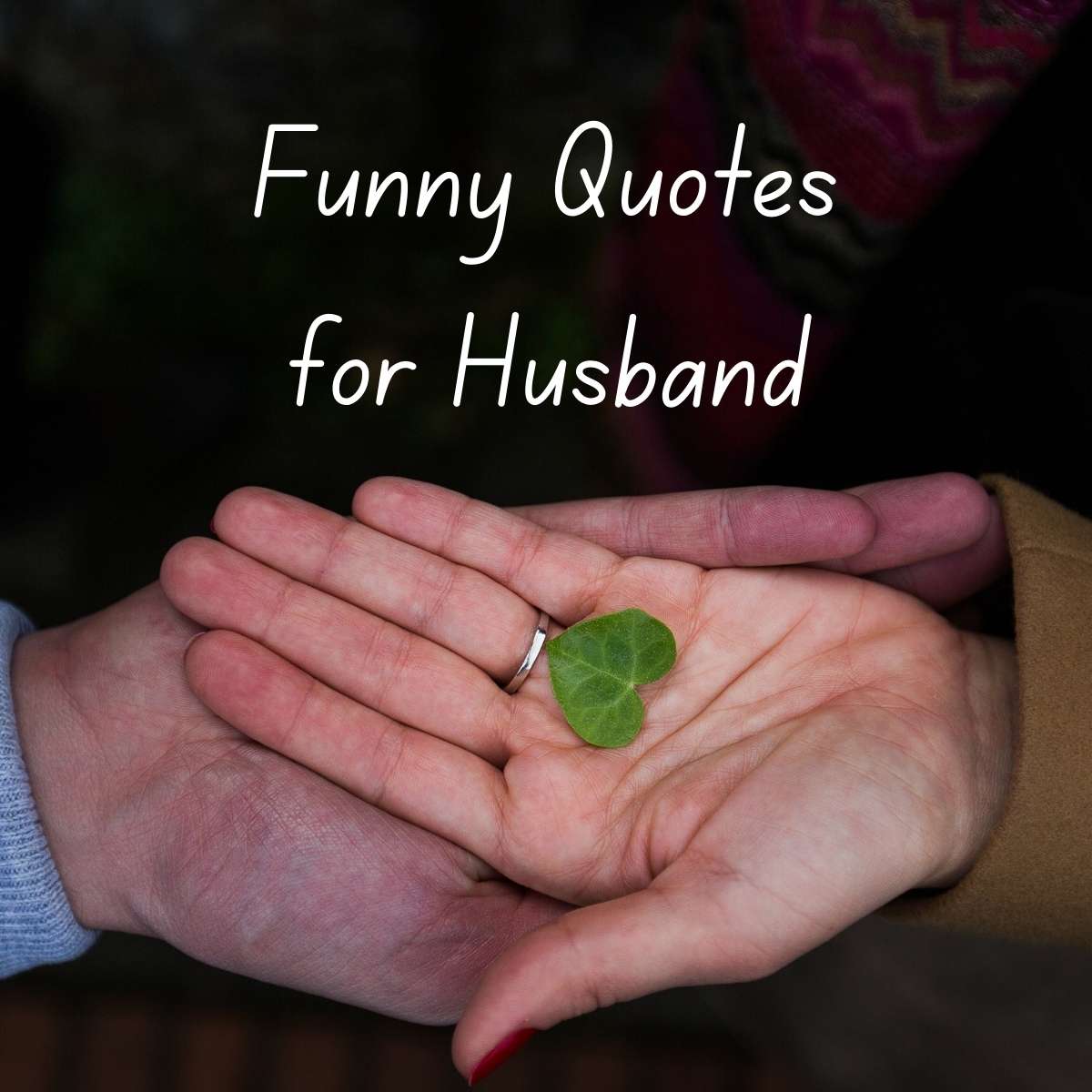 Funny Quotes for Husband